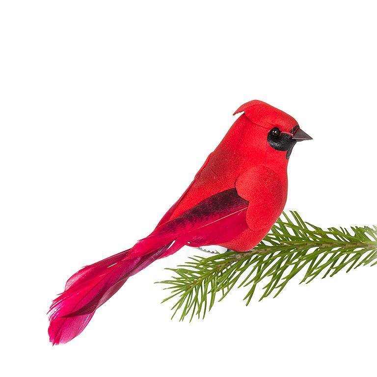 Red Cardinal Bird Clip-2Asst-3.5"L