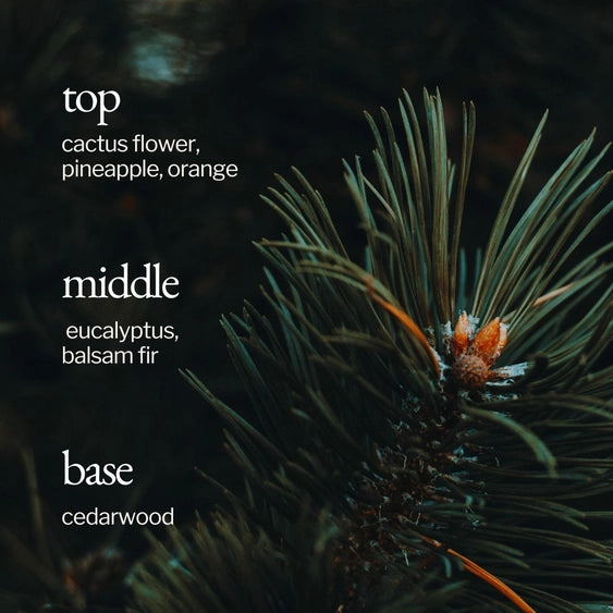 All-Purpose Cleaner | Fir + Cactus Flower