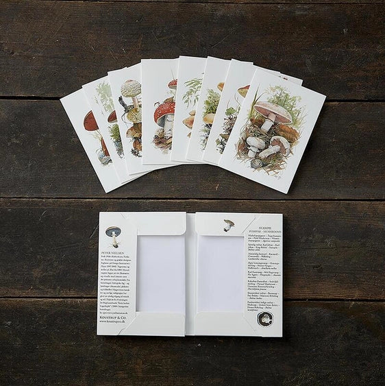 Mushrooms 8 Cards W/Envelopes Made in Europe