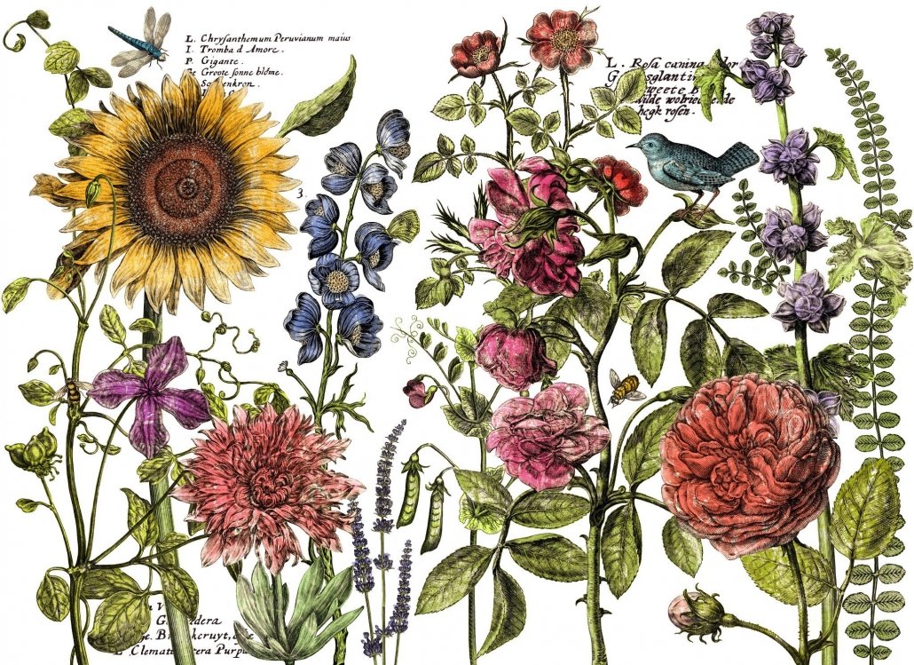 Iron Orchid Designs - Botanist's Journal Transfer