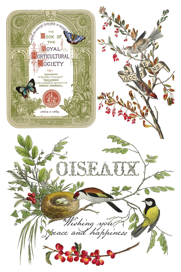 WInter Botanist Transfer