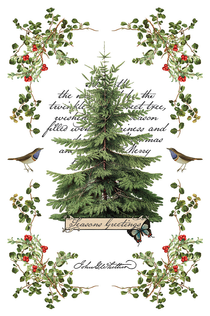 WInter Botanist Transfer