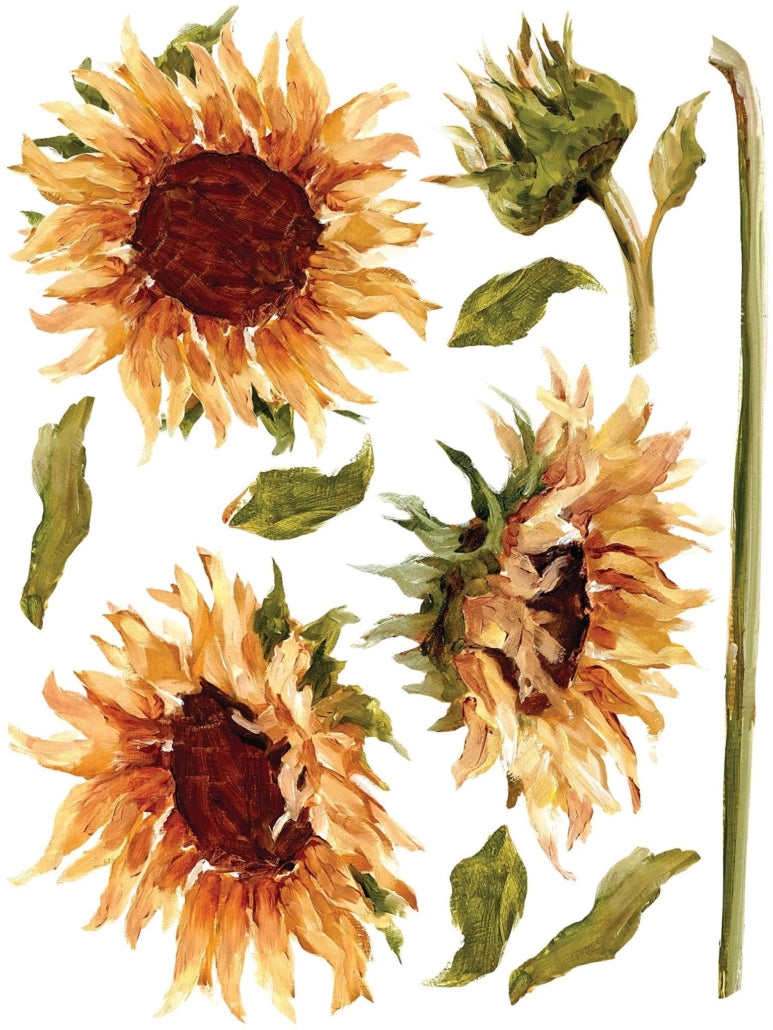 Painterly Florals