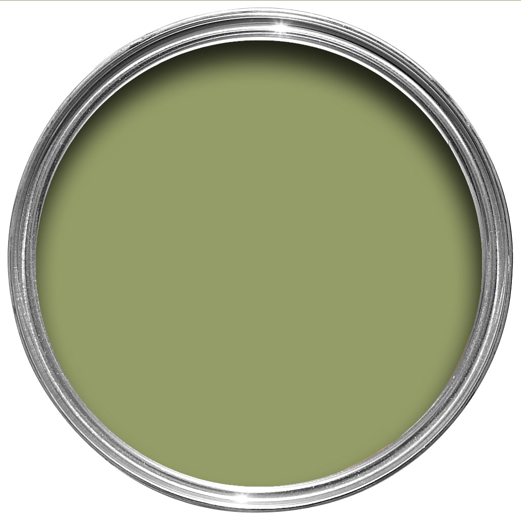 Olive No.13