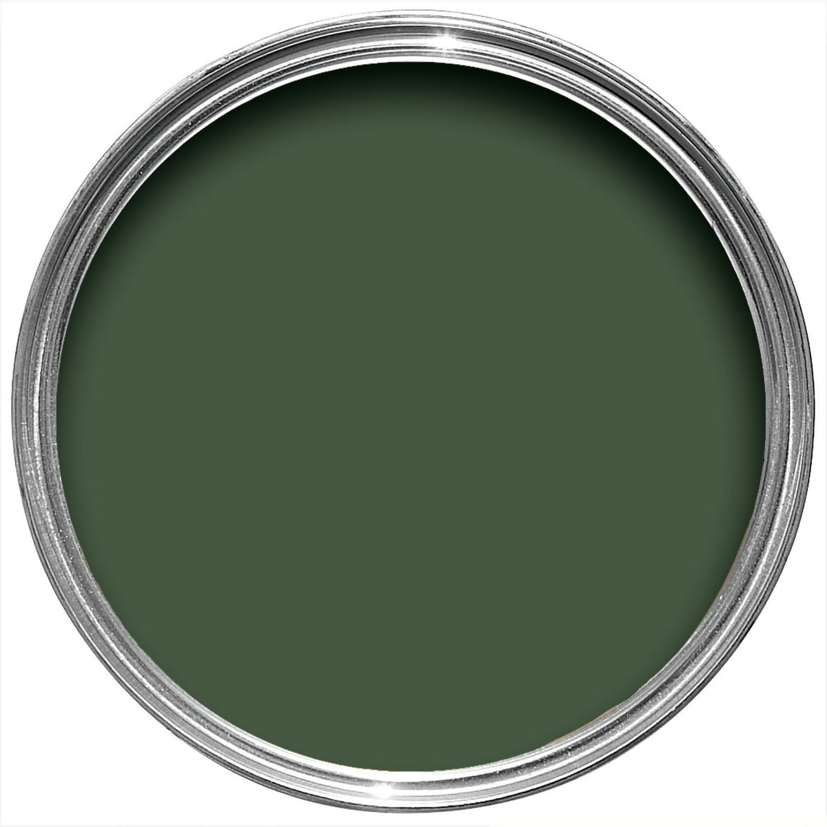 Duck Green No.W55