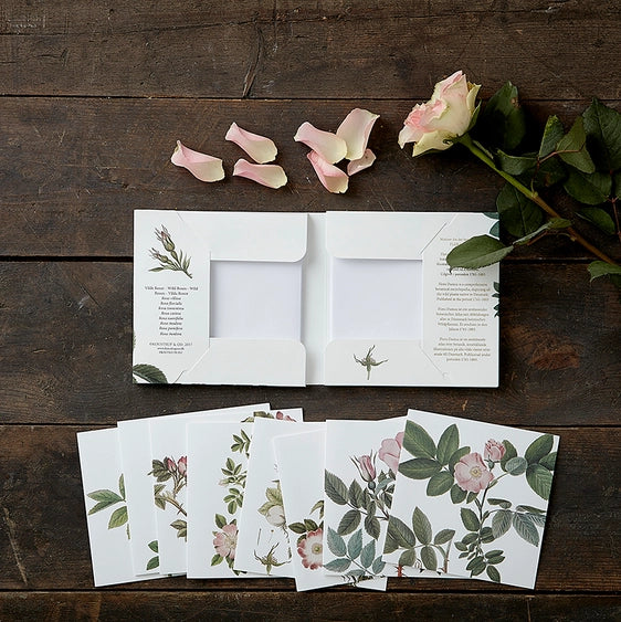 Square Cardfolder Wild Roses 8 Cards w/ Envelopes