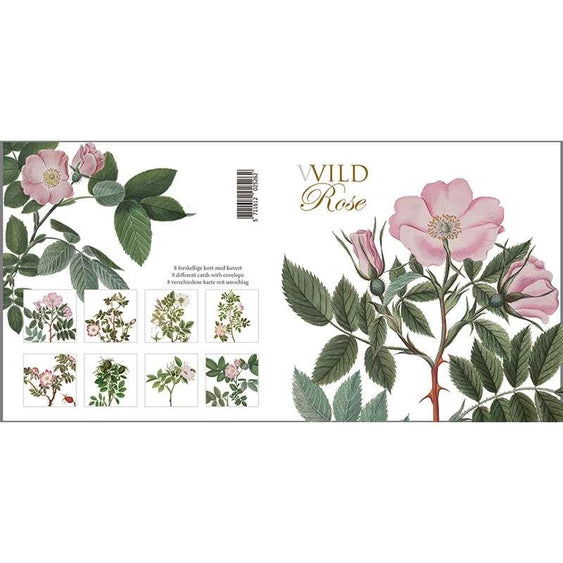 Square Cardfolder Wild Roses 8 Cards w/ Envelopes