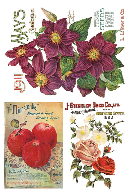 Decor Transfer - Seed Catalogue By IOD