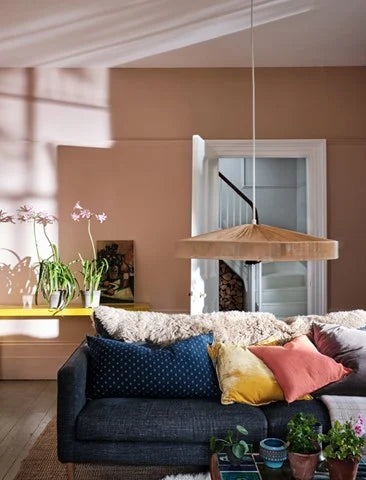 Setting Plaster No. 231