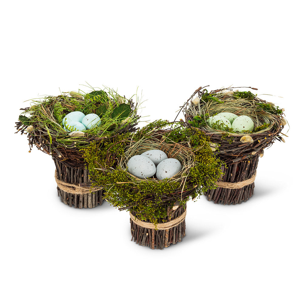 Egg Nest on Twigs