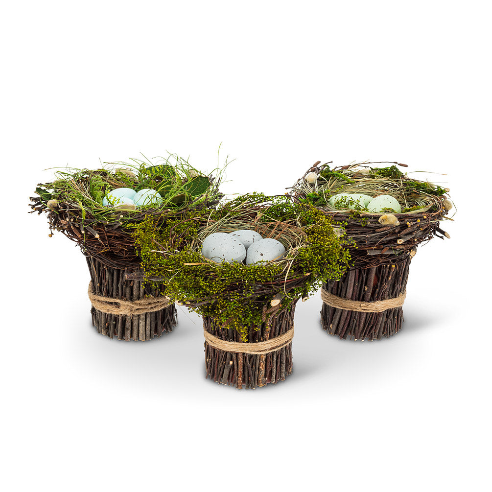 Egg Nest on Twigs