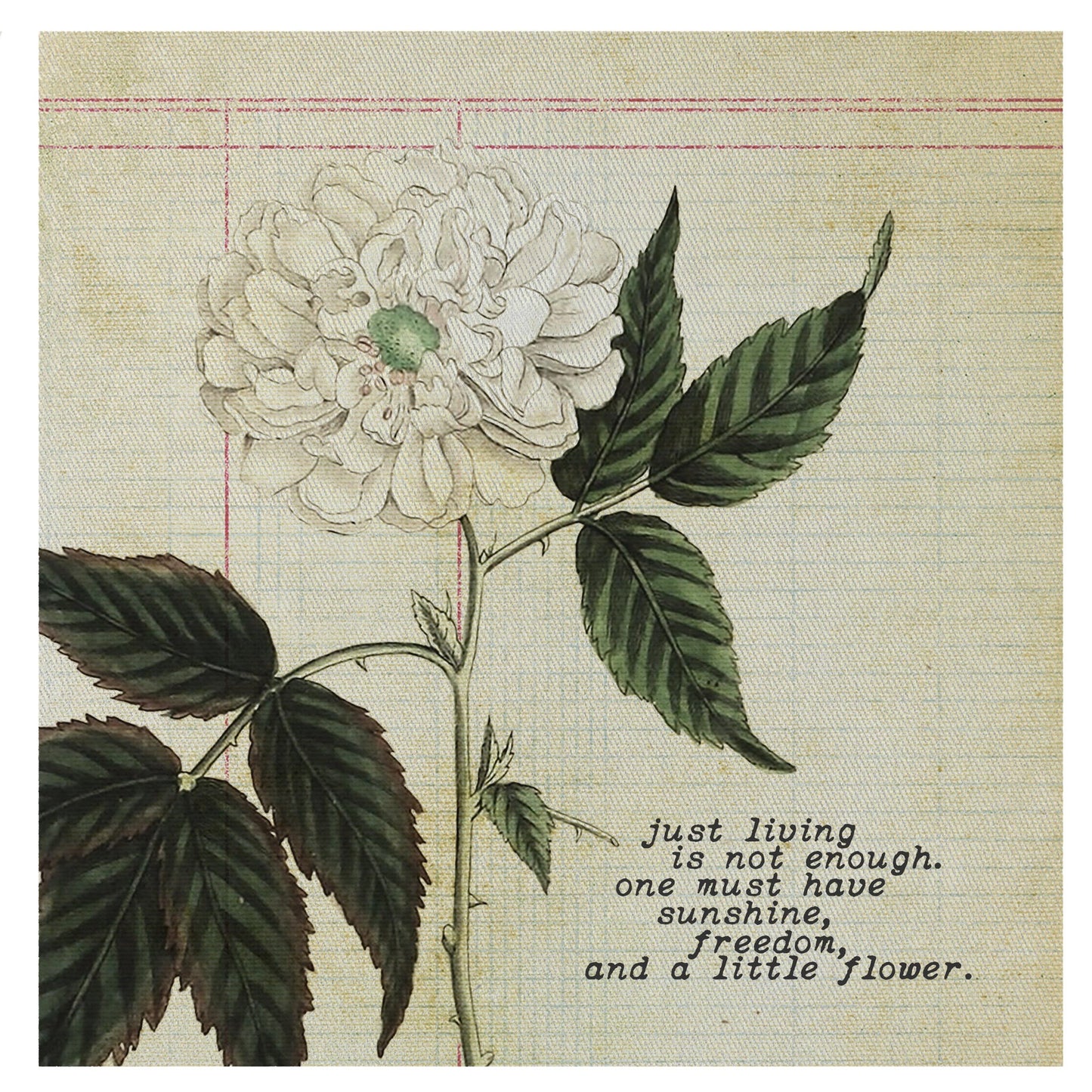 MINI CANVAS, LIVING IS NOT ENOUGH, ONE MUST HAVE SUNSHINE AND FREEDOM