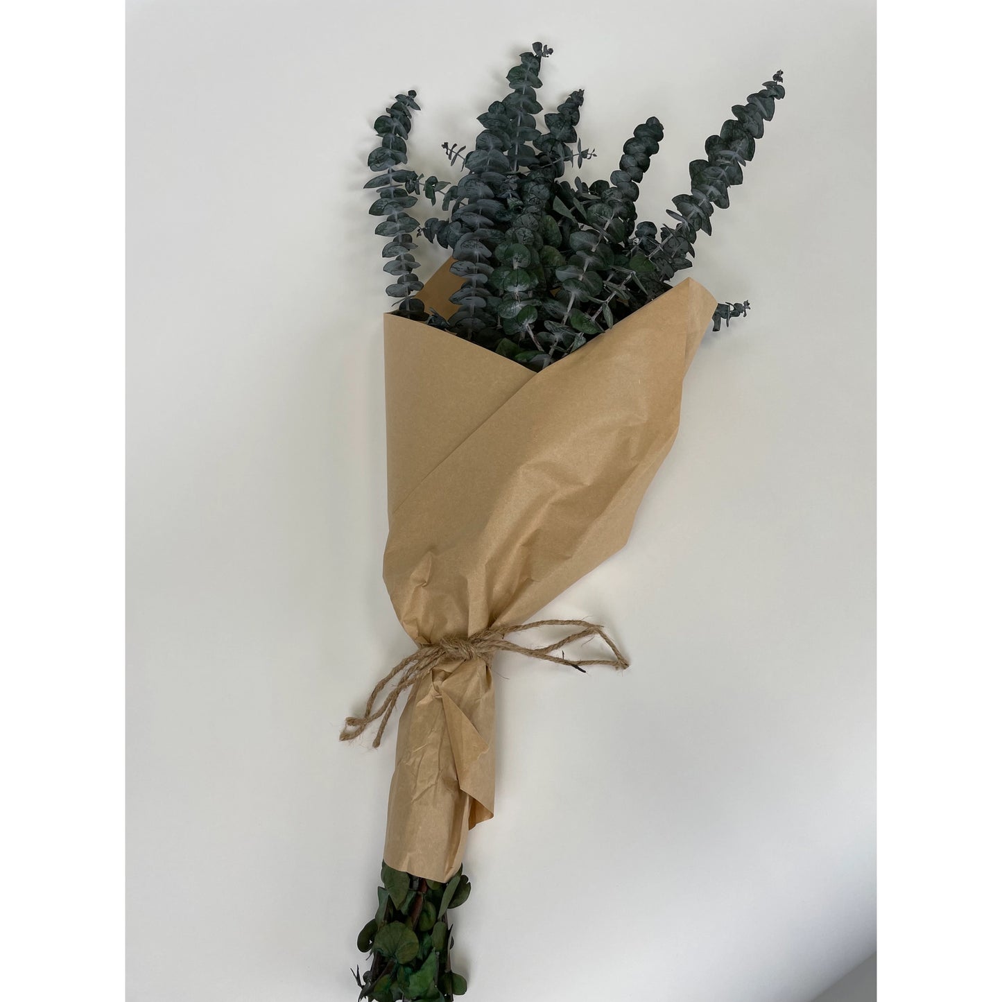 DRIED BUNDLE, 8 oz PRESERVED BABY EUCALYPTUS BUNDLE