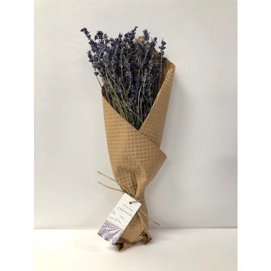 French Lavender Bundle