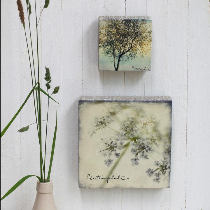 Contemplate Art Block
