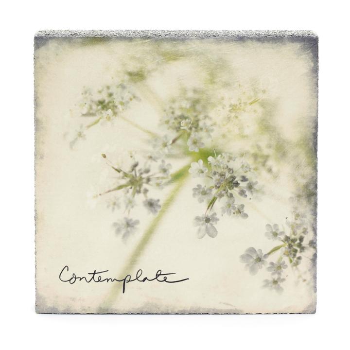 Contemplate Art Block