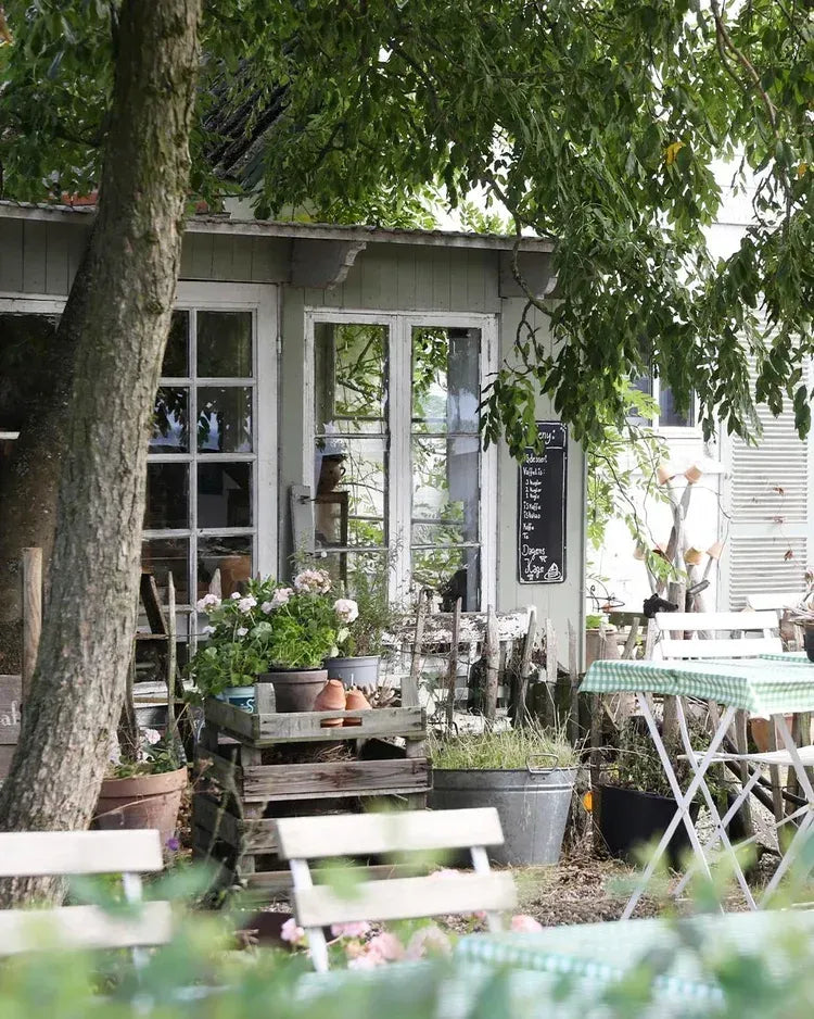 New! Jeanne d'Arc Living 'Small Detours Big Experiences