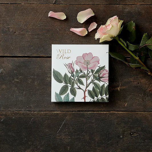 Square Cardfolder Wild Roses 8 Cards w/ Envelopes