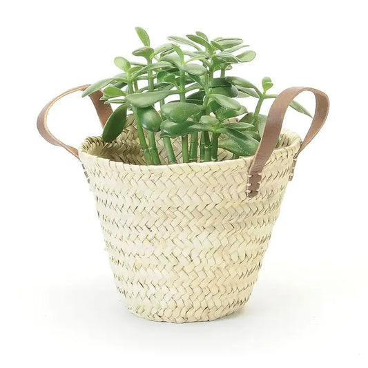 Straw Planter Leather Handles