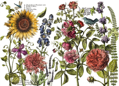 Botanist's Journal