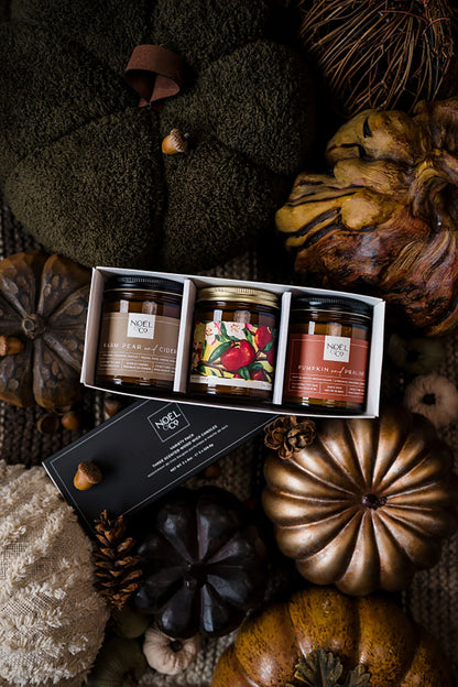 Noel & Co. Harvest Production Box