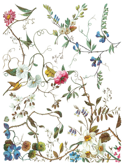 Lost Garden IOD Transfer