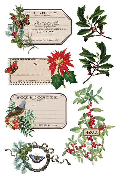 WInter Botanist Transfer