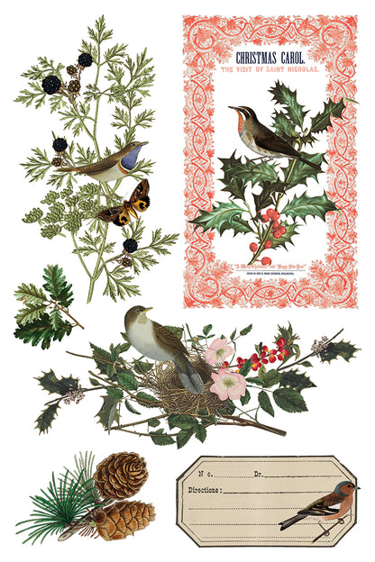 WInter Botanist Transfer