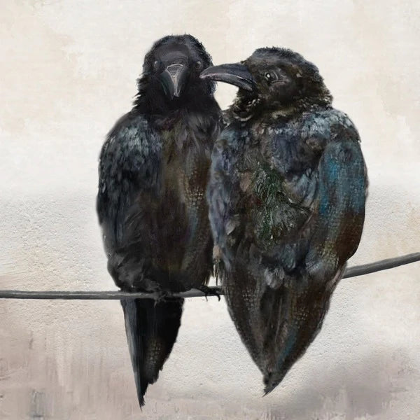 Marble Coaster Crows Together