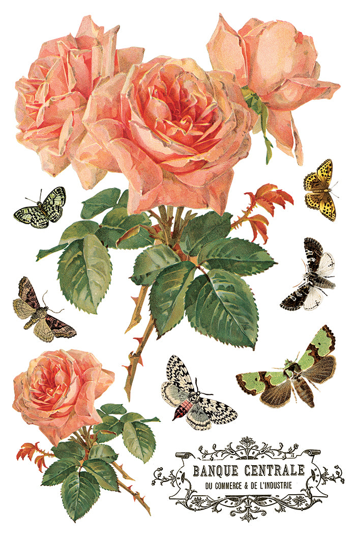 IOD Decor Transfer - By Any Other Name