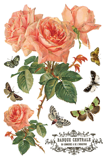 IOD Decor Transfer - By Any Other Name