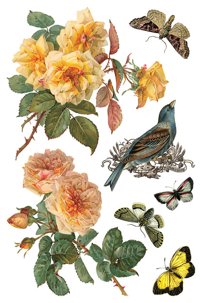 IOD Decor Transfer - By Any Other Name