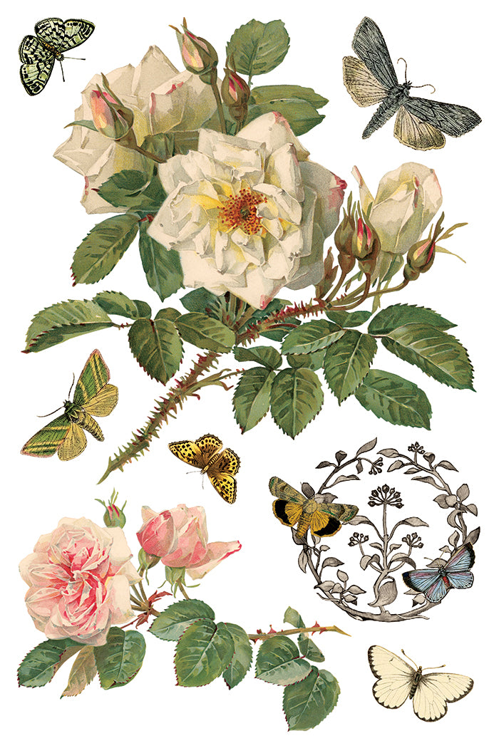 IOD Decor Transfer - By Any Other Name