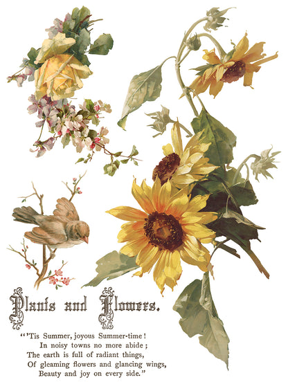 IOD Decor Transfer - Flowers by the Poets