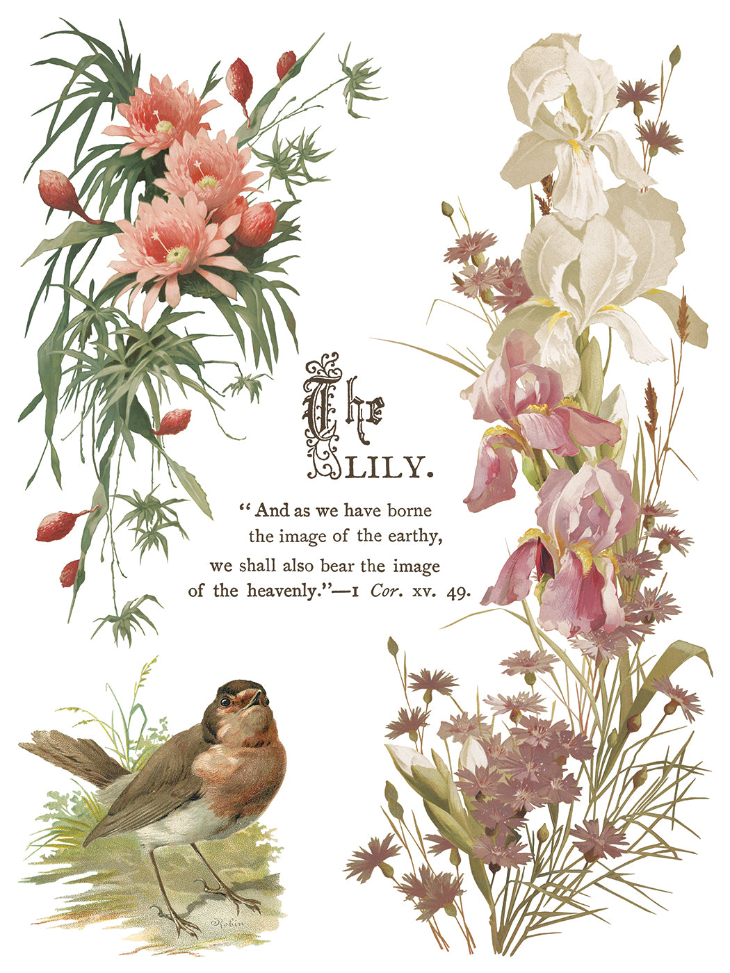 IOD Decor Transfer - Flowers by the Poets