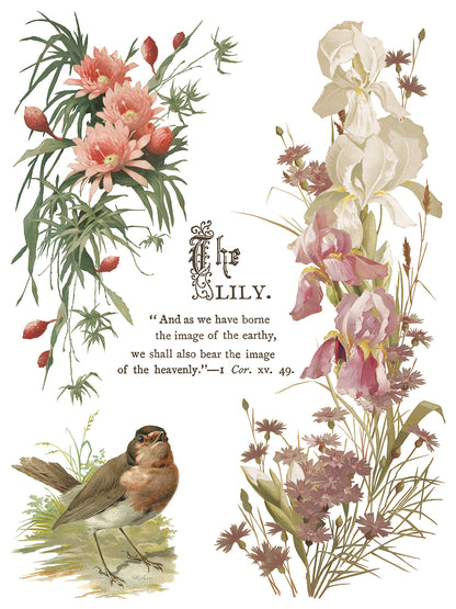 IOD Decor Transfer - Flowers by the Poets
