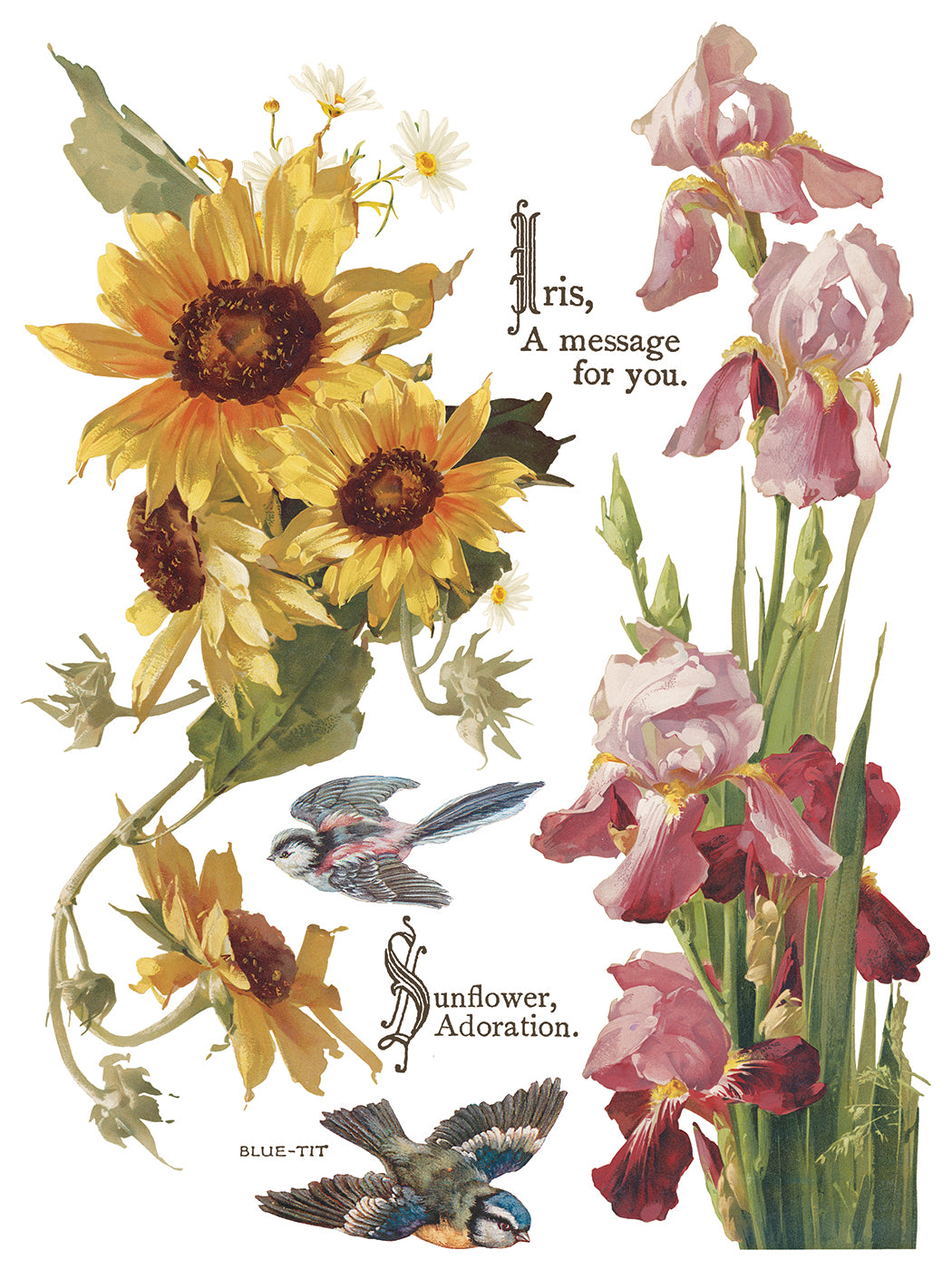 IOD Decor Transfer - Flowers by the Poets