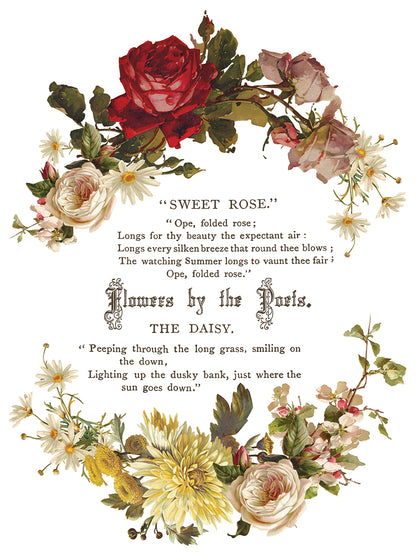IOD Decor Transfer - Flowers by the Poets