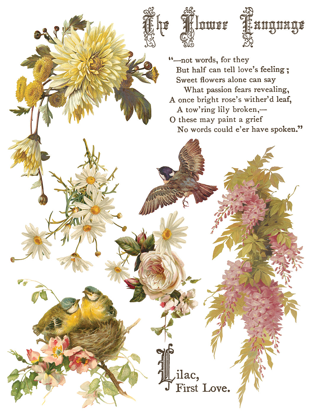 IOD Decor Transfer - Flowers by the Poets