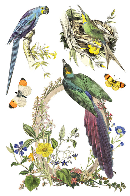 IOD Decor Transfer - Flora Greca