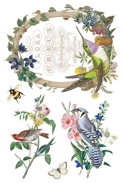 IOD Decor Transfer - Flora Greca