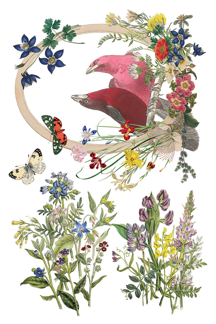 IOD Decor Transfer - Flora Greca