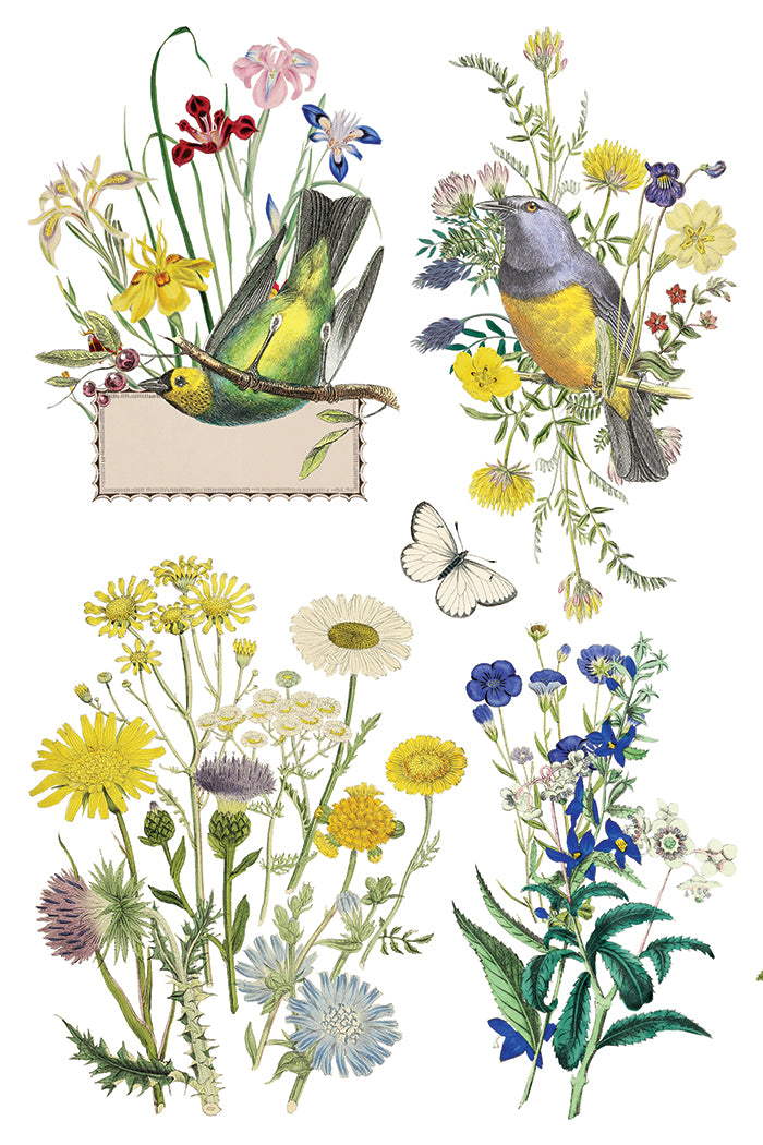 IOD Decor Transfer - Flora Greca