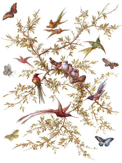 IOD Decor Transfer - Madeleine