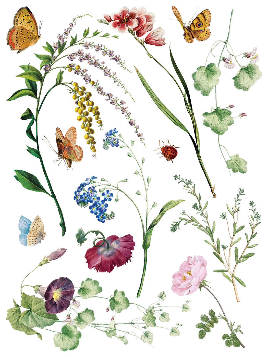 IOD Decor Transfer - Marché des Fleurs