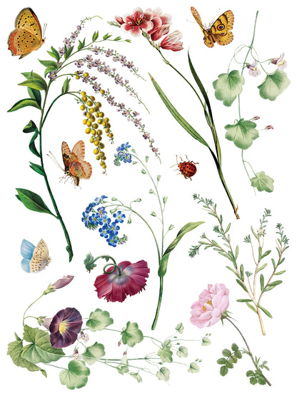 IOD Decor Transfer - Marché des Fleurs