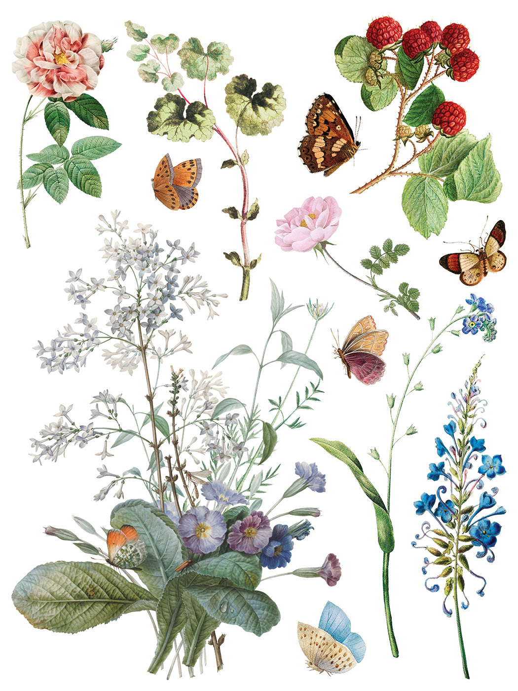 IOD Decor Transfer - Marché des Fleurs