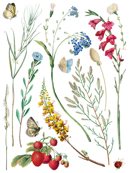 IOD Decor Transfer - Marché des Fleurs