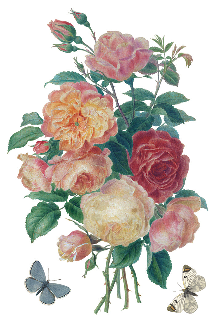 IOD Decor Transfer - Saint Ouen