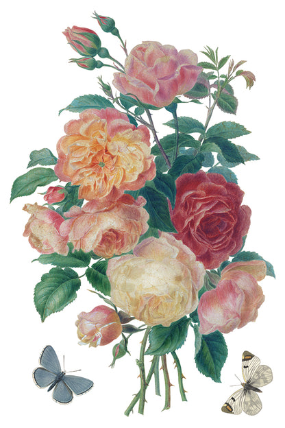 IOD Decor Transfer - Saint Ouen